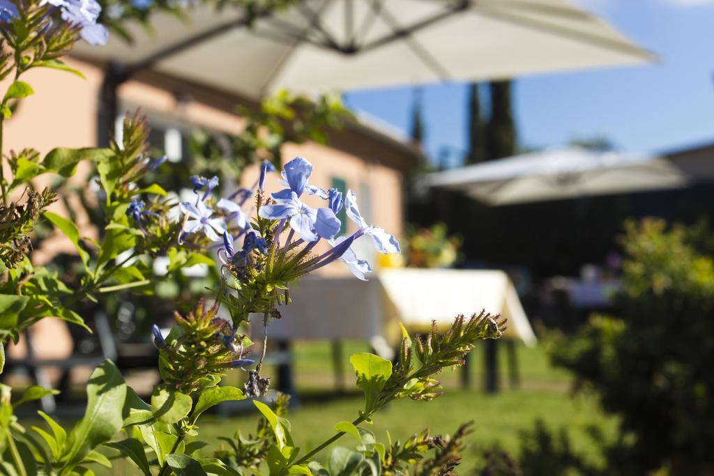 Agriturismo Ferruggini Bolgheri Kültér fotó