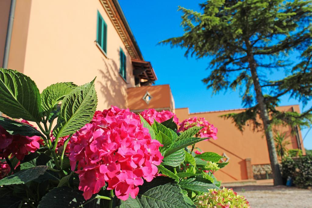Agriturismo Ferruggini Bolgheri Kültér fotó